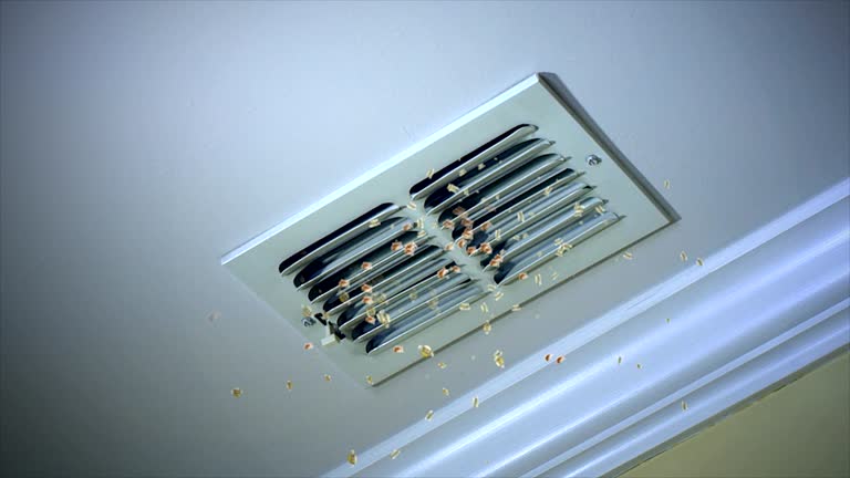 Best Air Duct Cleaning Near Me in Viera East, FL