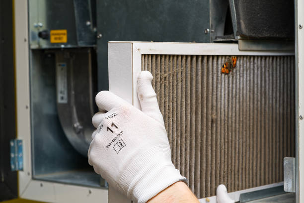 Best Emergency Air Duct Cleaning  in Viera East, FL