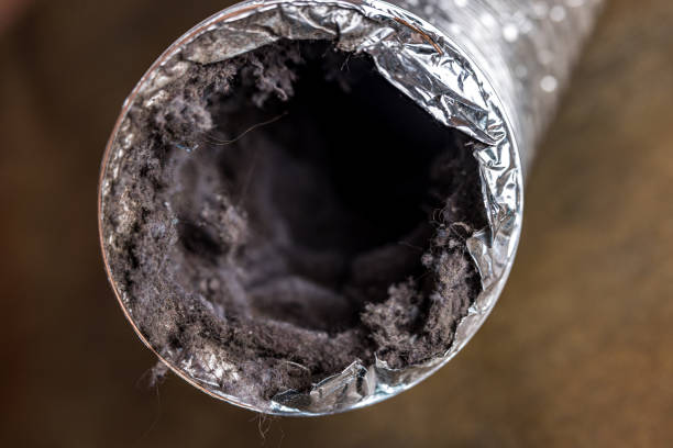 Best HVAC Duct Inspection Services  in Viera East, FL